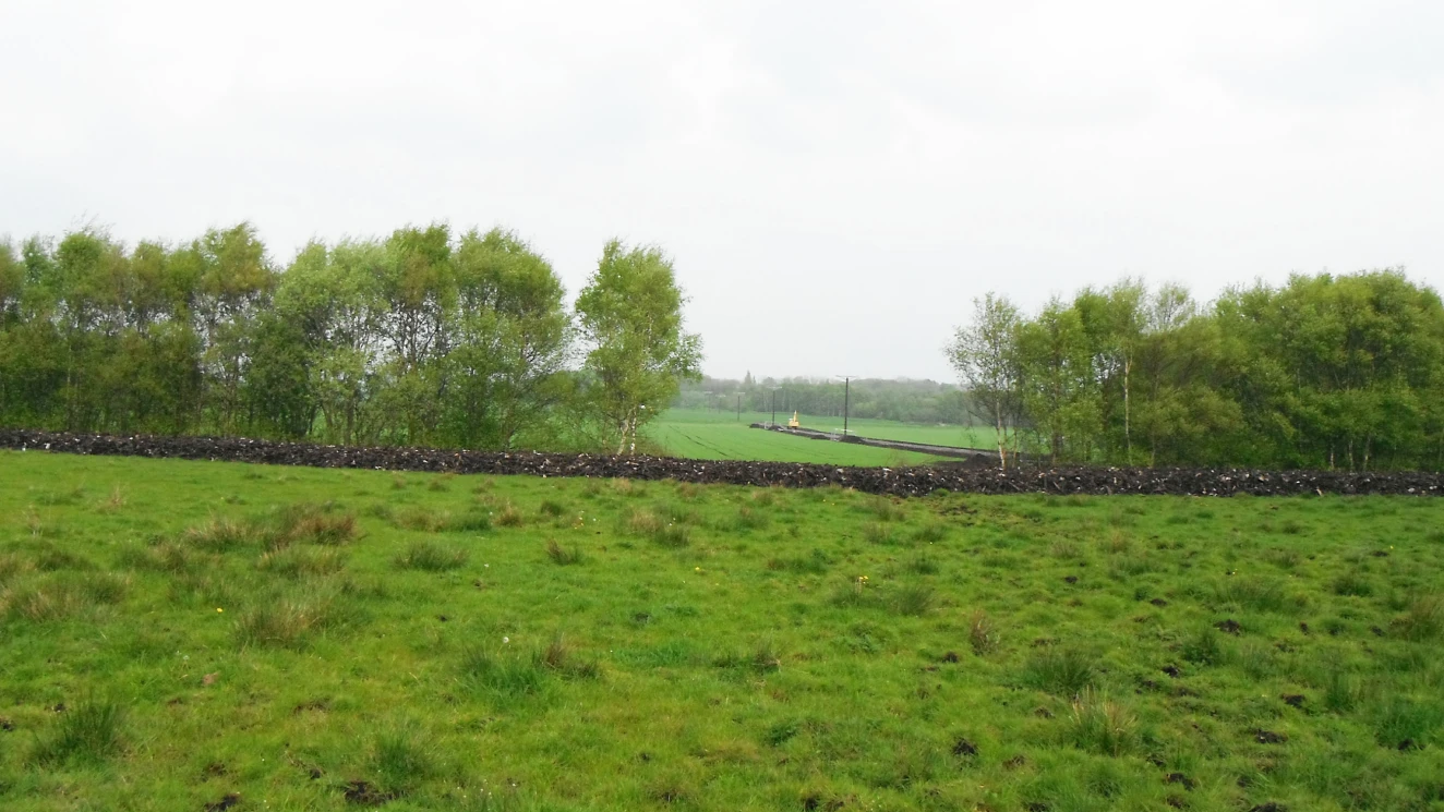Overhead power and fibre transmission lines